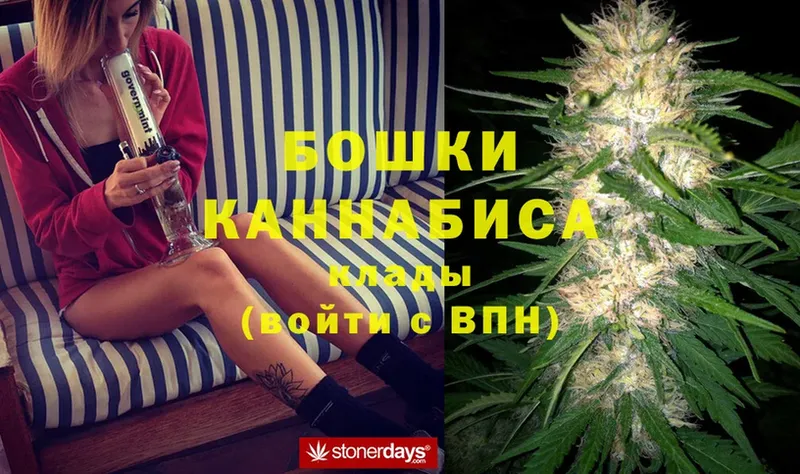 Марихуана White Widow  как найти закладки  Межгорье 